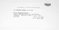Image Associated With the Occurence